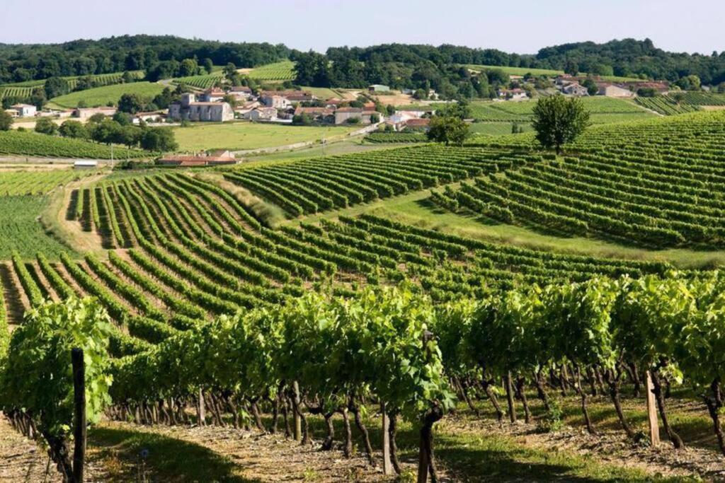 Maison Charentaise A La Campagne Becheresse 外观 照片